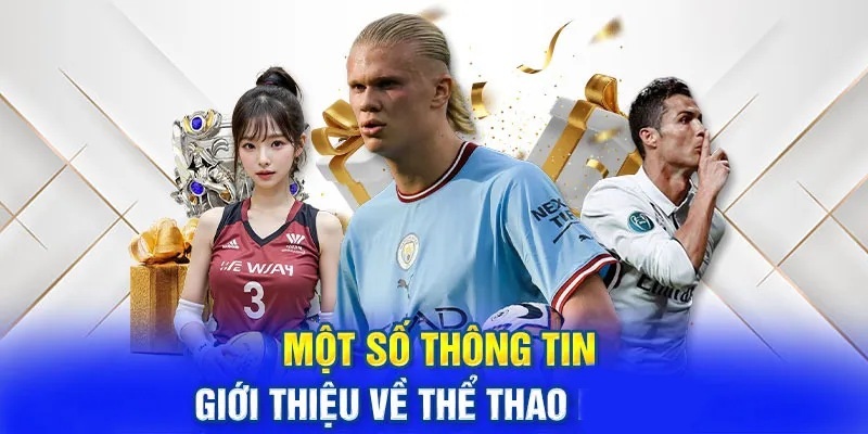 Cháy hết mình với các kèo cược Thể Thao 88Bet