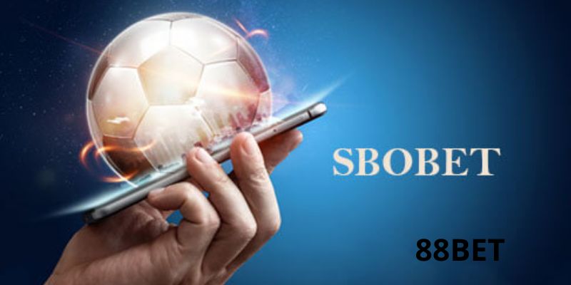 Người mới cần biết các thông tin về SBOBET 88BET