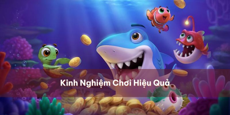 Tips chơi hữu hiệu chinh phục ngư trường đầy ắp cá